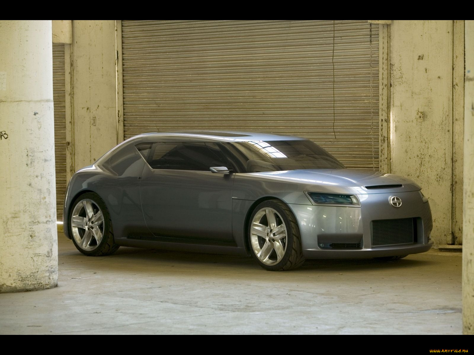 , scion